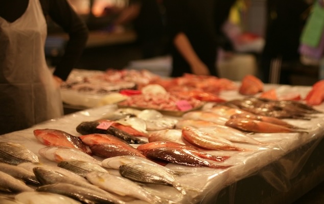 Fish